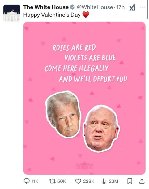 马斯克妈妈邓云迪对话_马斯克几号带狗狗币_马斯克带三个娃与莫迪会谈