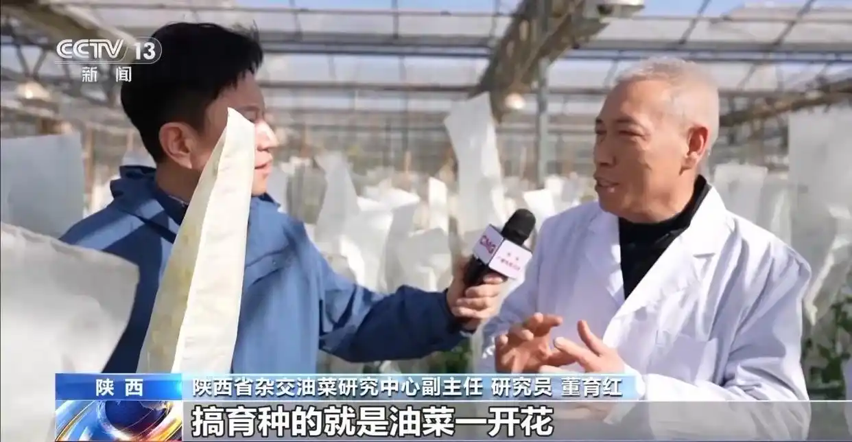 人勤春来早 开工干劲足_惠州市中心医院彭来勤_铆足干劲是错别字吗