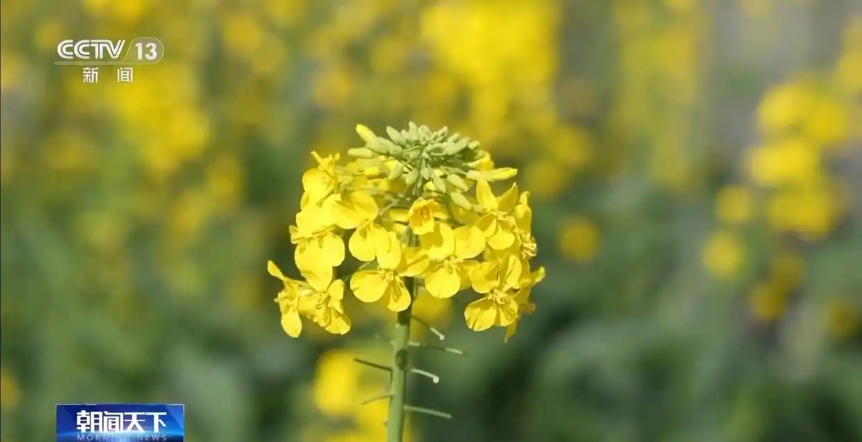 人勤春来早 开工干劲足_铆足干劲是错别字吗_惠州市中心医院彭来勤