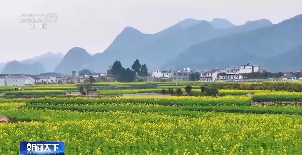 铆足干劲是错别字吗_人勤春来早 开工干劲足_惠州市中心医院彭来勤