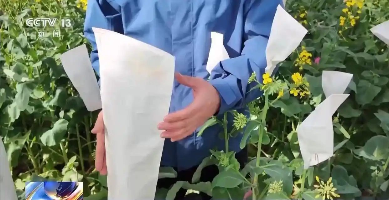 惠州市中心医院彭来勤_人勤春来早 开工干劲足_铆足干劲是错别字吗