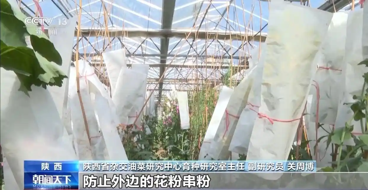 铆足干劲是错别字吗_惠州市中心医院彭来勤_人勤春来早 开工干劲足