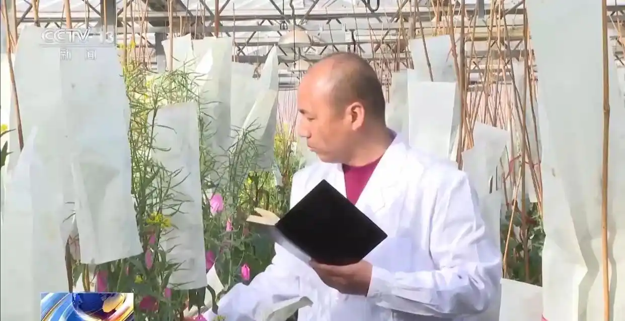 人勤春来早 开工干劲足_铆足干劲是错别字吗_惠州市中心医院彭来勤