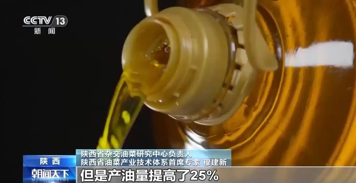 铆足干劲是错别字吗_人勤春来早 开工干劲足_惠州市中心医院彭来勤