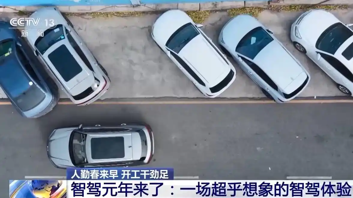 魔蘑菇早足_人勤春来早 开工干劲足_温州公安局勤来