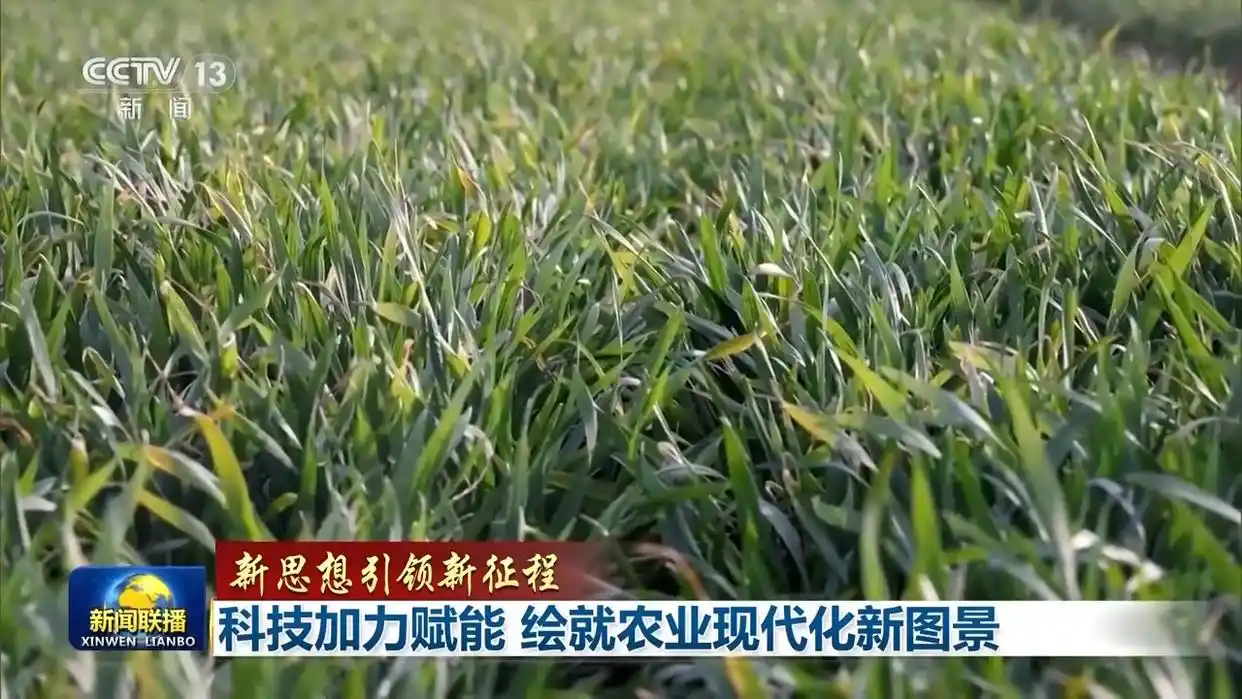 农业风景画_绘就农业现代化新图景_关于农业的画怎么画