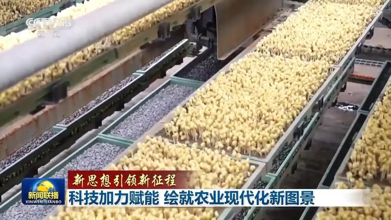 农业风景画_绘就农业现代化新图景_关于农业的画怎么画