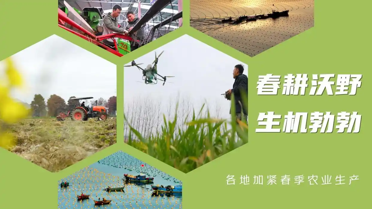 抓好春季农业生产_春季各地加紧农业生产的原因_各地加紧春季农业生产