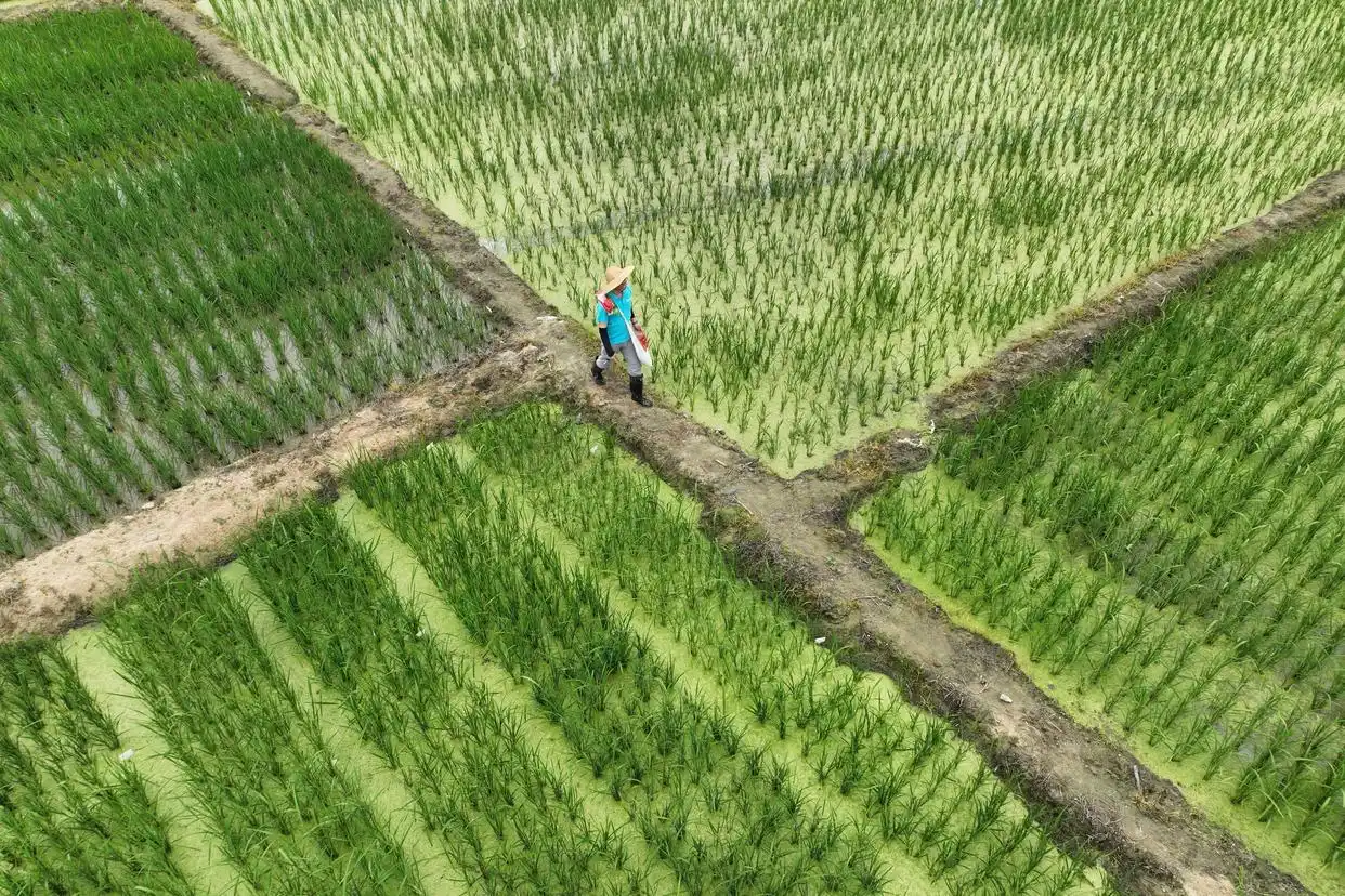 各地加紧春季农业生产_春季各地加紧农业生产的原因_抓好春季农业生产