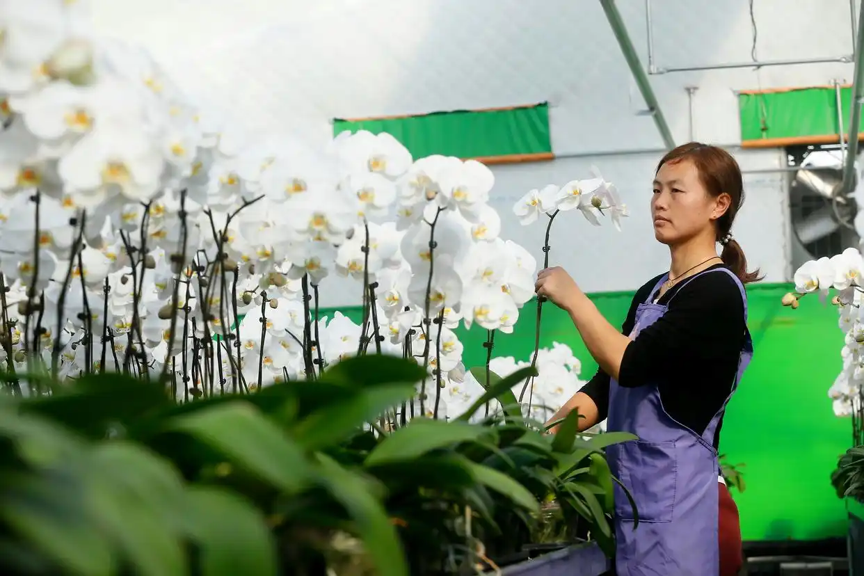 春季各地加紧农业生产的原因_抓好春季农业生产_各地加紧春季农业生产