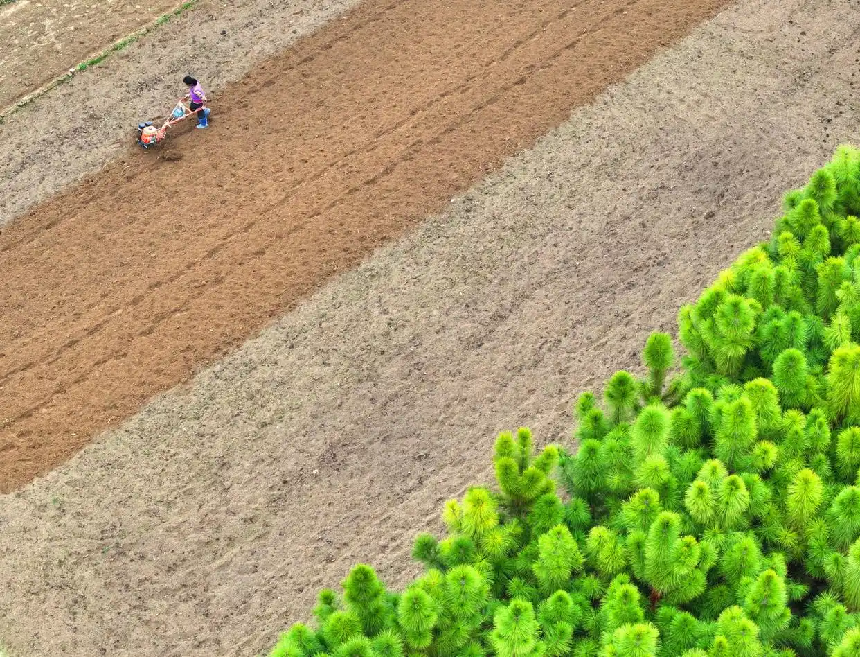 各地加紧春季农业生产_抓好春季农业生产_春季各地加紧农业生产的原因