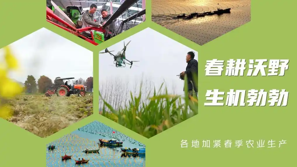 春季各地加紧农业生产的措施_不失时机抓好春季农业生产_各地加紧春季农业生产