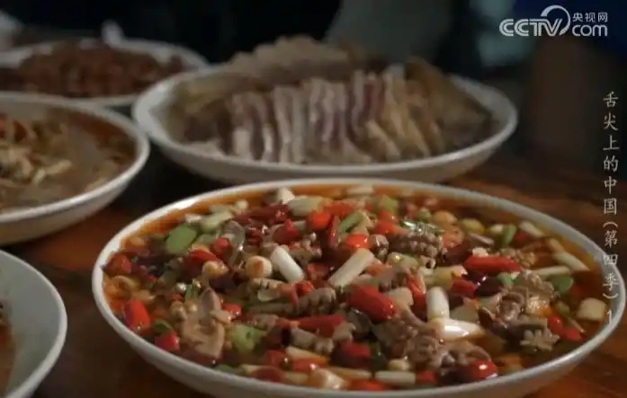 舌尖上的川菜纪录片_四川路边餐馆登上央视《舌尖4》_央视川菜