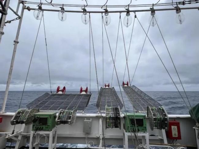 《哪吒2》章鱼将军为啥敢烤自己的腕吃 强大再生能力揭秘