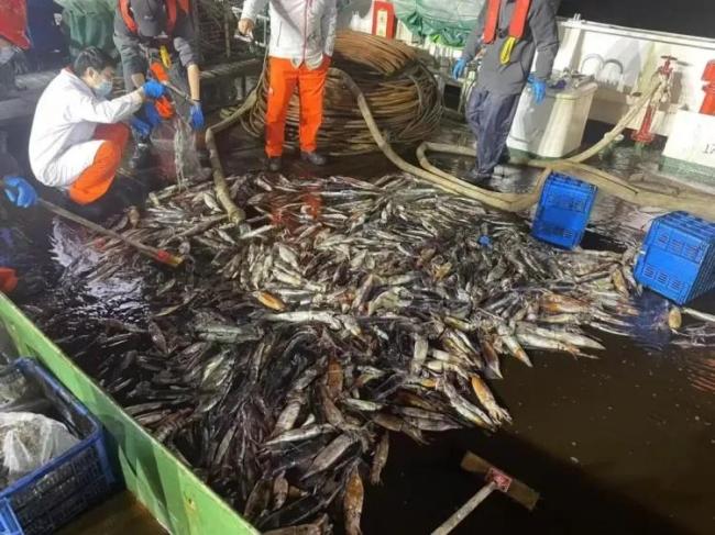 《哪吒2》章鱼将军为啥敢烤自己的腕吃 强大再生能力揭秘