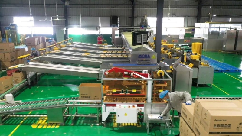 复产复工报道_春节后复工复产文章_春节后开工复产一线见闻