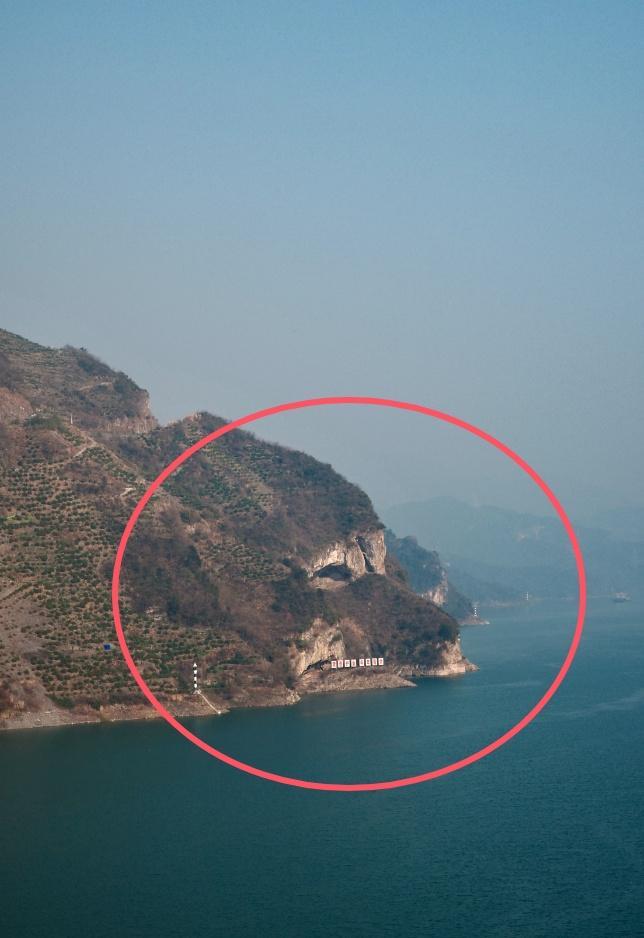 湖北“狗狗山”爆火 网友直呼太像了