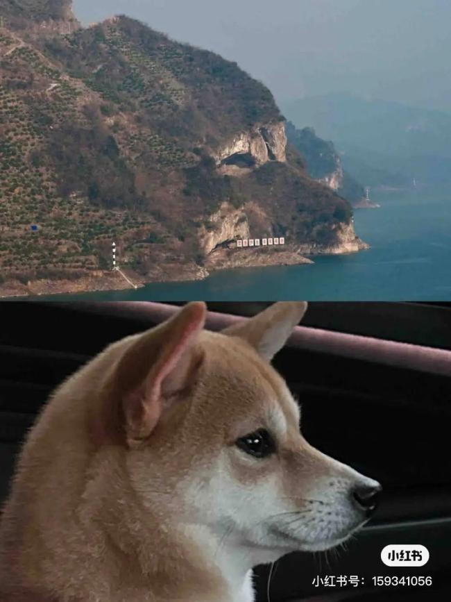 湖北“狗狗山”爆火 网友直呼太像了 自然奇观引热议