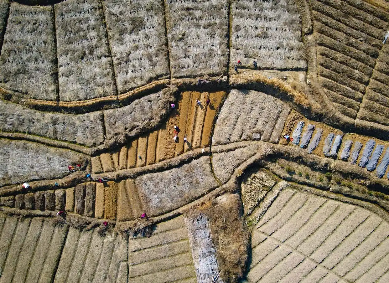 农忙时节雨纷纷下一句_春耕时节农事忙_早春时节农事忙