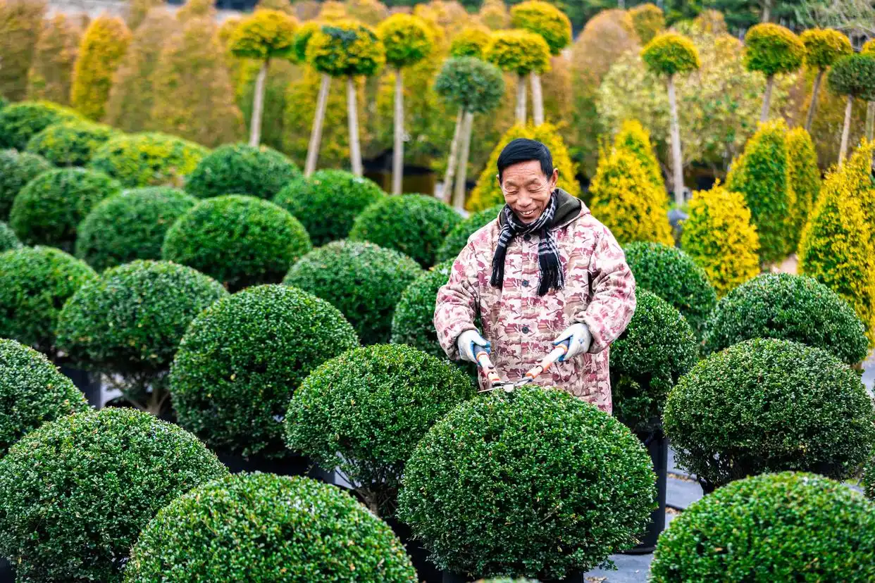 早春时节农事忙_农忙时节雨纷纷下一句_春耕时节农事忙