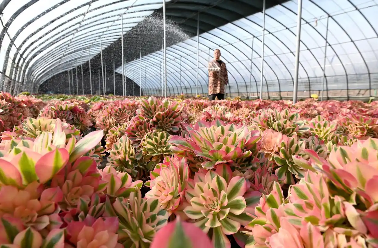 早春时节农事忙_春耕时节农事忙_农忙时节雨纷纷下一句