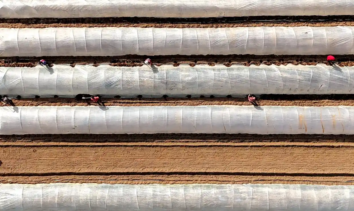 早春时节农事忙_春耕时节农事忙_农忙时节雨纷纷下一句