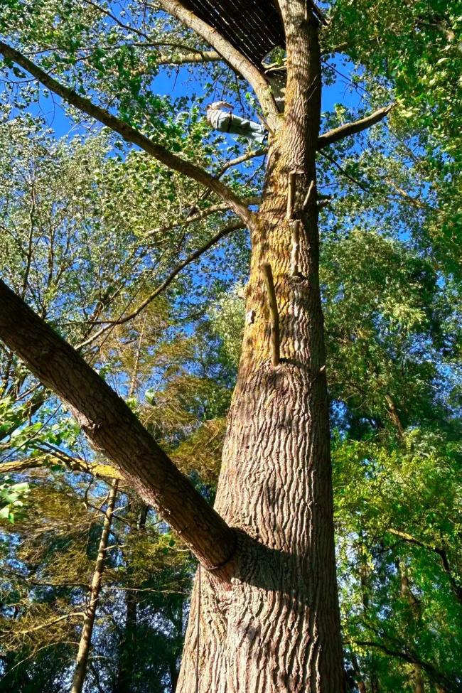 女孩靠拼假旅游 一年去7国23个城市 大厂人的拼假攻略