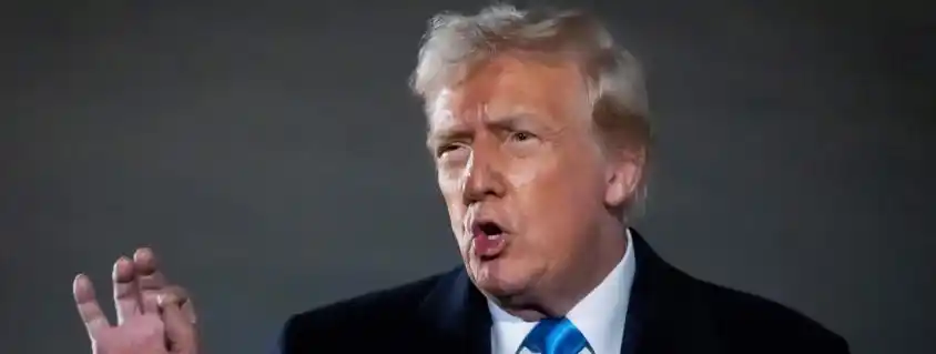 关于法律和国家关系的表述_“国家一级演员”属不规范表述_下列属于规范分析表述