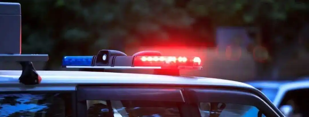 下列属于规范分析表述_关于法律和国家关系的表述_“国家一级演员”属不规范表述