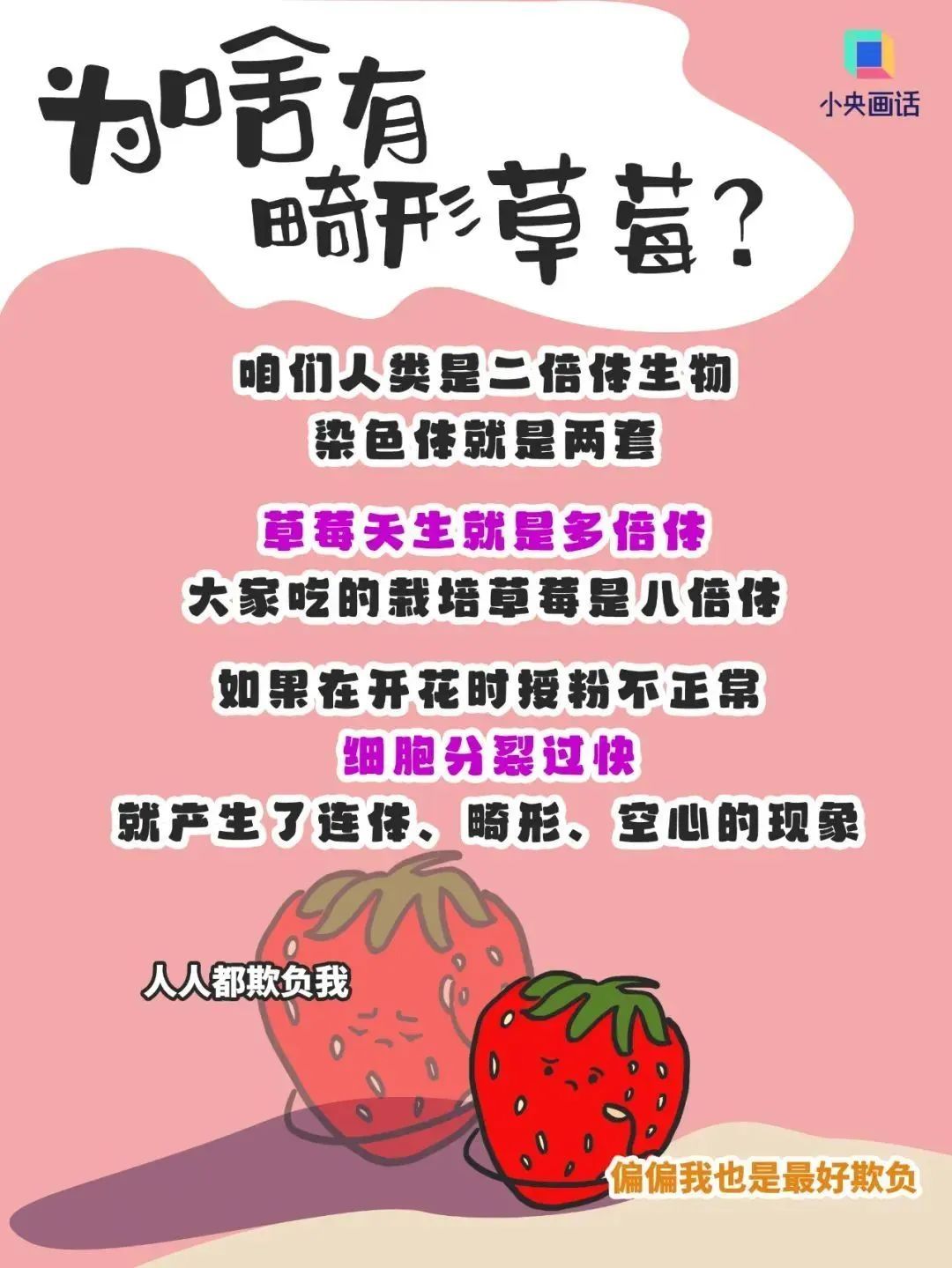 草莓的谣言_草莓能晒成草莓干吗_这些关于草莓的谣言不能信