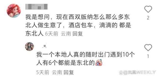 “三亚平替”挤满东北人 西双版纳成新宠