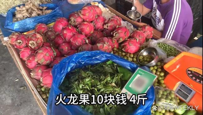 “三亚平替”挤满东北人 西双版纳成新宠