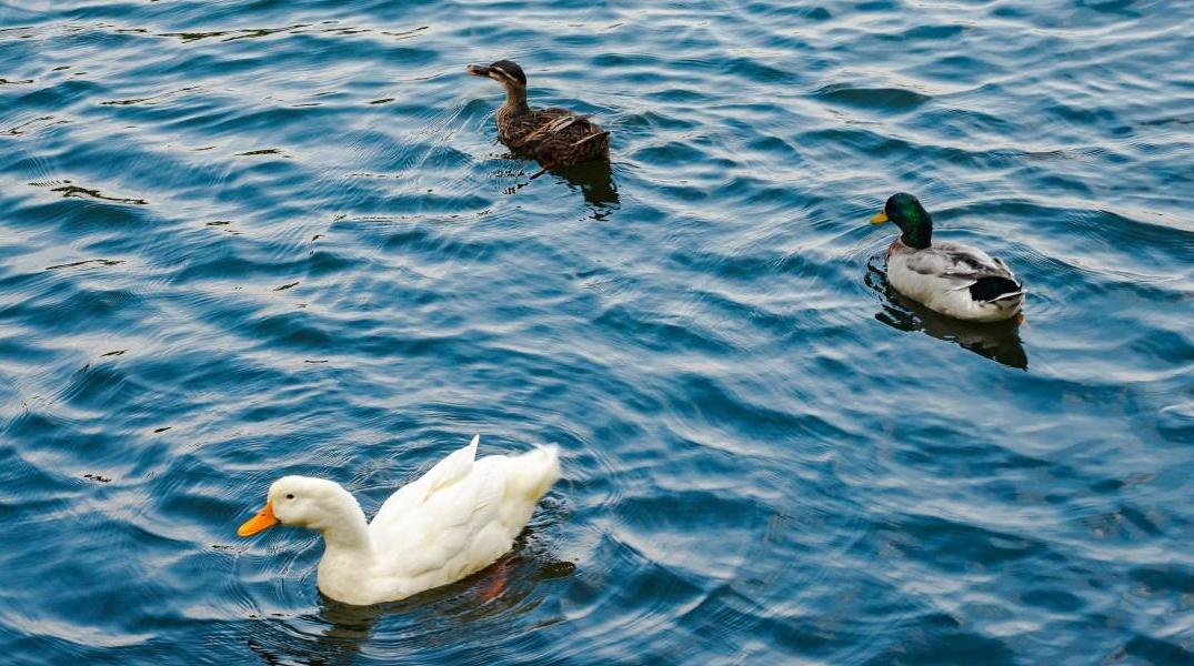 先收起你的短袖,周日广州最高气温跌破20℃