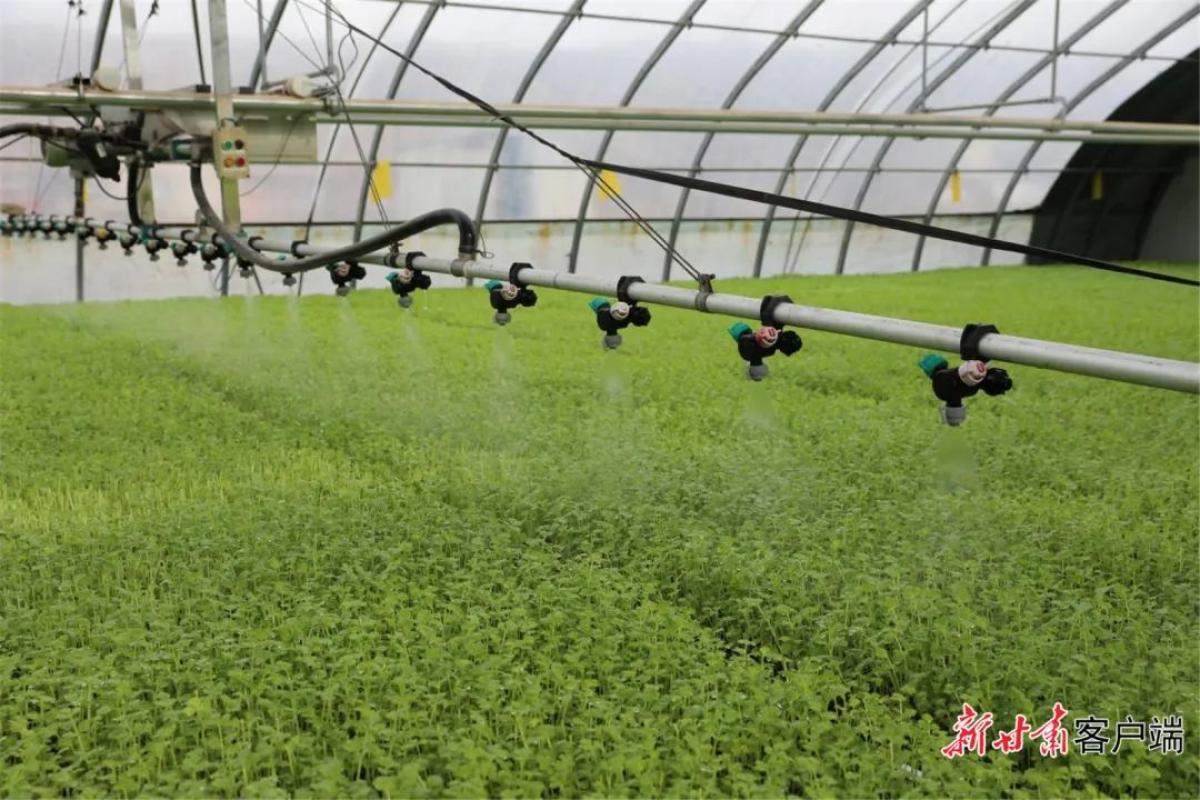 科技助力春耕生产_科技育苗助力春耕_科技助力春耕备耕