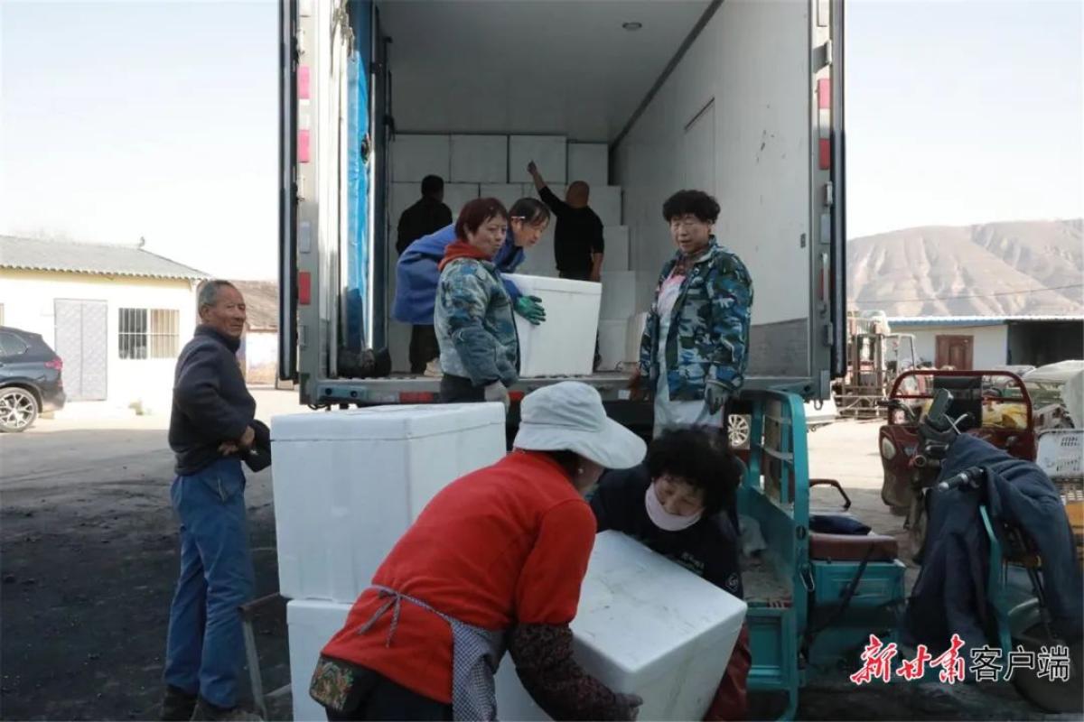 科技育苗助力春耕_科技助力春耕生产_科技助力春耕备耕