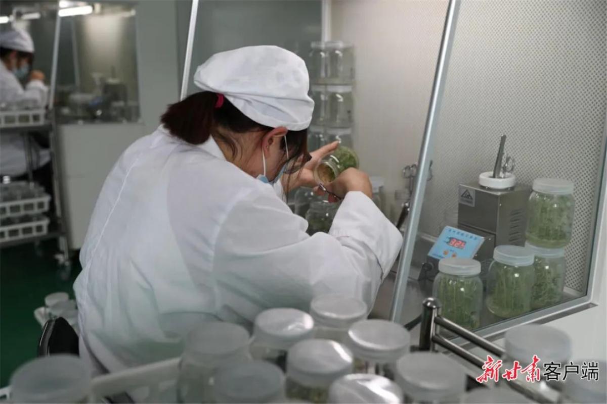 科技助力春耕生产_科技助力春耕备耕_科技育苗助力春耕