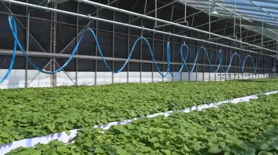 科技助力春耕生产_科技助力春耕备耕_科技育苗助力春耕