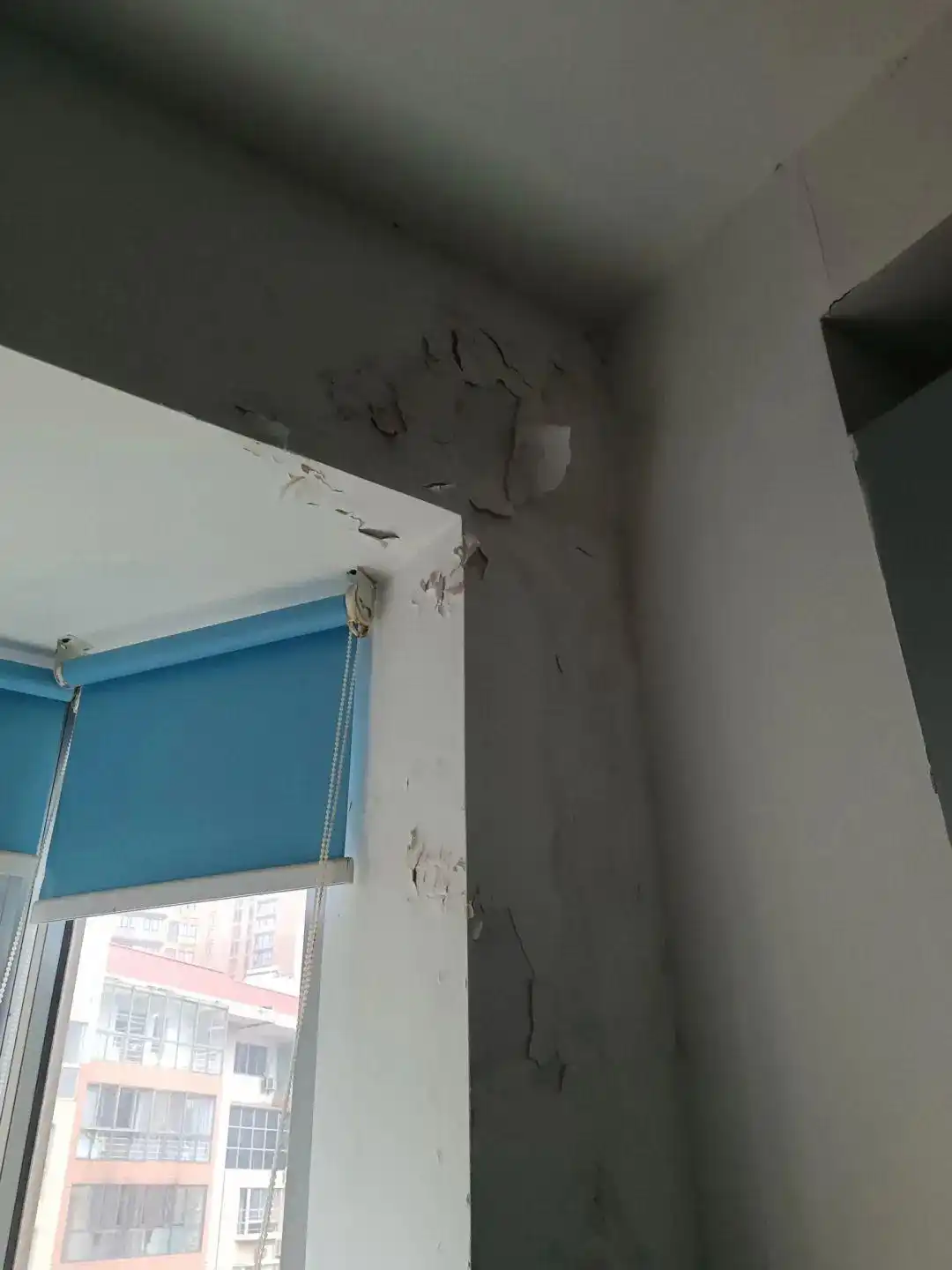 长沙一小区楼顶被种出茂密“丛林”_长沙可以上去的楼顶_长沙楼顶种菜