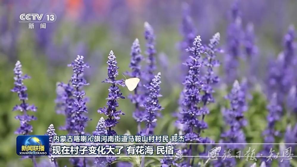 乡镇农旅融合发展思路方案_农文旅融合绘就美丽乡村新图景_乡镇农旅融合