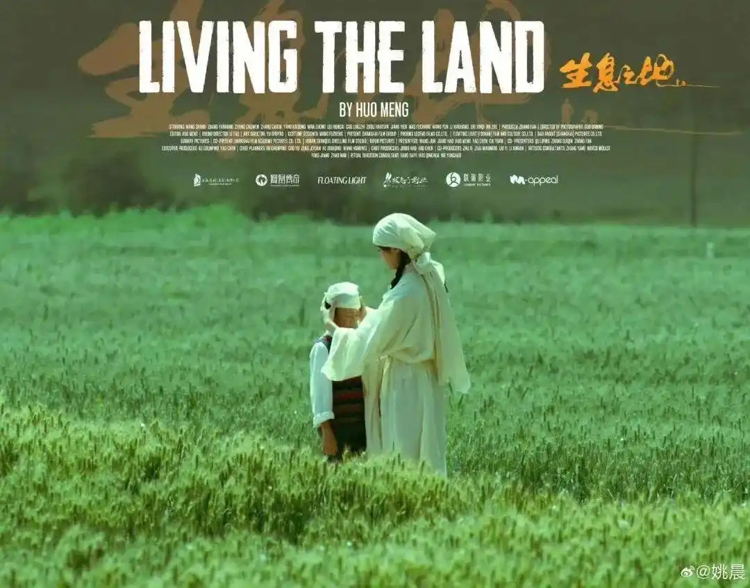 姚晨闷声干大事_姚晨闷声干大事_姚晨闷声干大事