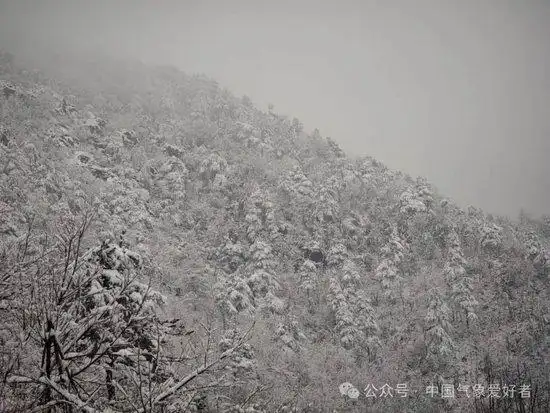 回暖意思_回暖小说_坏回暖来了