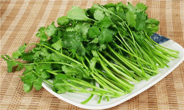 我讨厌香菜_今天是世界讨厌香菜日_讨厌香菜因为基因