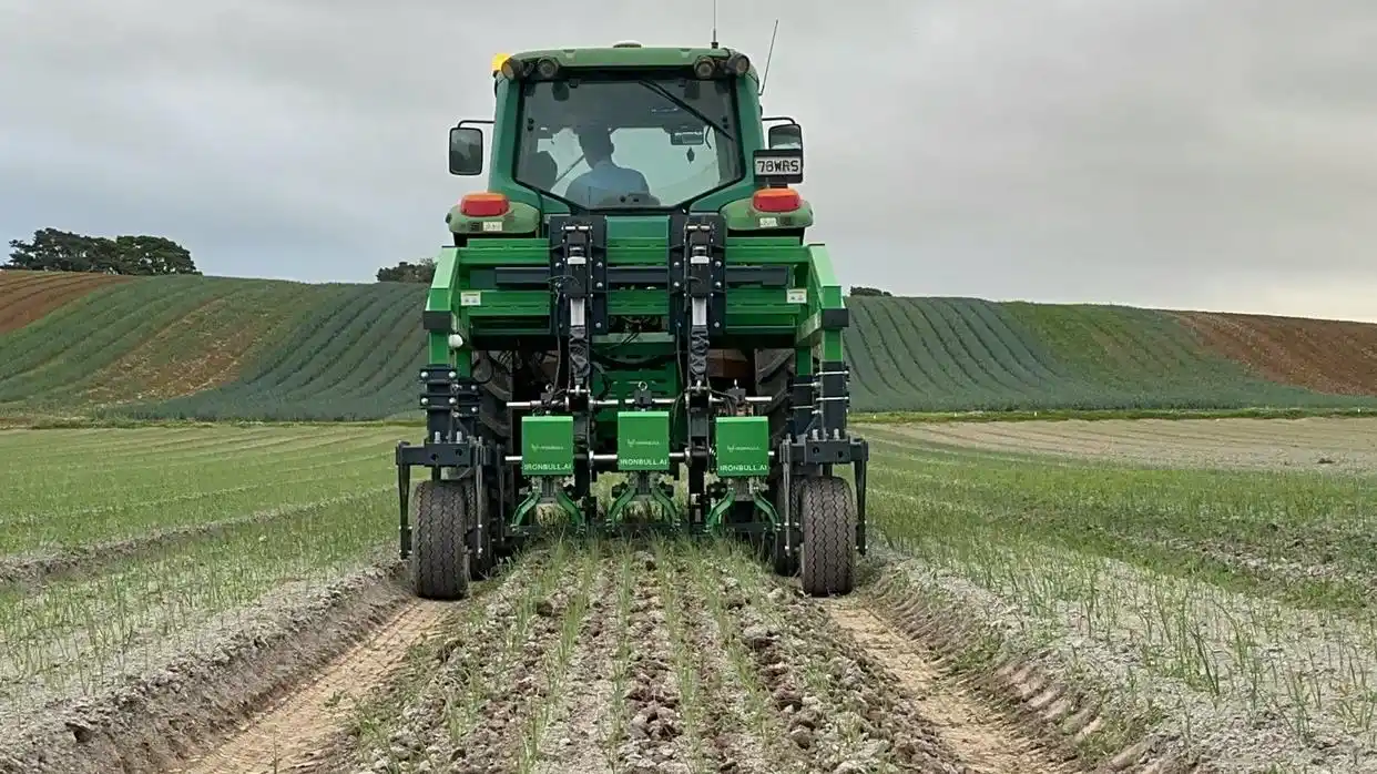 扎实推进乡村全面振兴_全面推进乡村振兴上_全面推进乡村振兴坚持吧