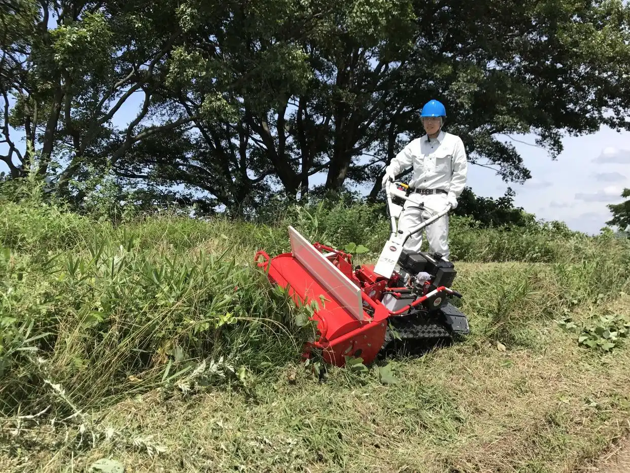 全面推进乡村振兴上_全面推进乡村振兴坚持吧_扎实推进乡村全面振兴
