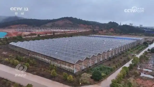 扎实推进乡村全面振兴_全面推进乡村振兴上_全面推进乡村振兴坚持吧