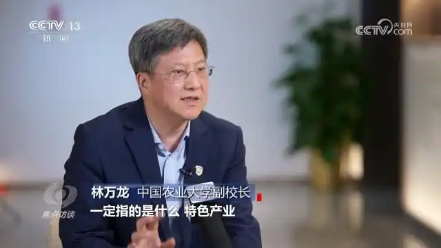 扎实推进乡村全面振兴_全面推进乡村振兴坚持吧_全面推进乡村振兴上