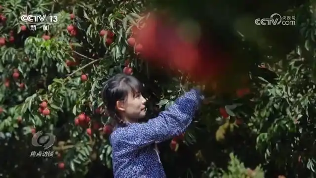 全面推进乡村振兴坚持吧_全面推进乡村振兴上_扎实推进乡村全面振兴