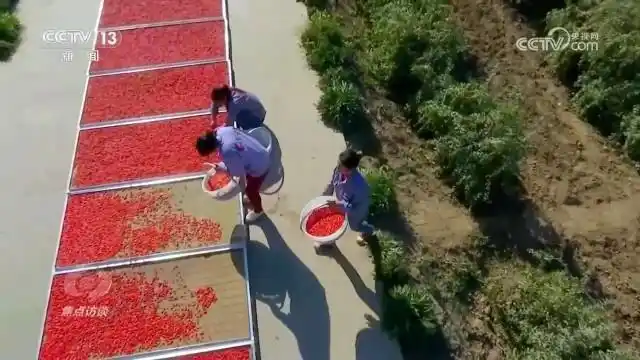 扎实推进乡村全面振兴_全面推进乡村振兴坚持吧_全面推进乡村振兴上