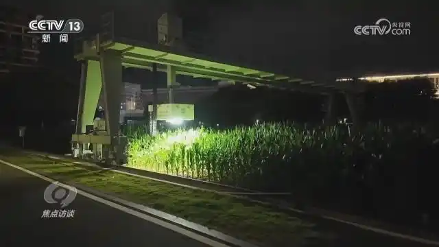 扎实推进乡村全面振兴_全面推进乡村振兴上_全面推进乡村振兴坚持吧