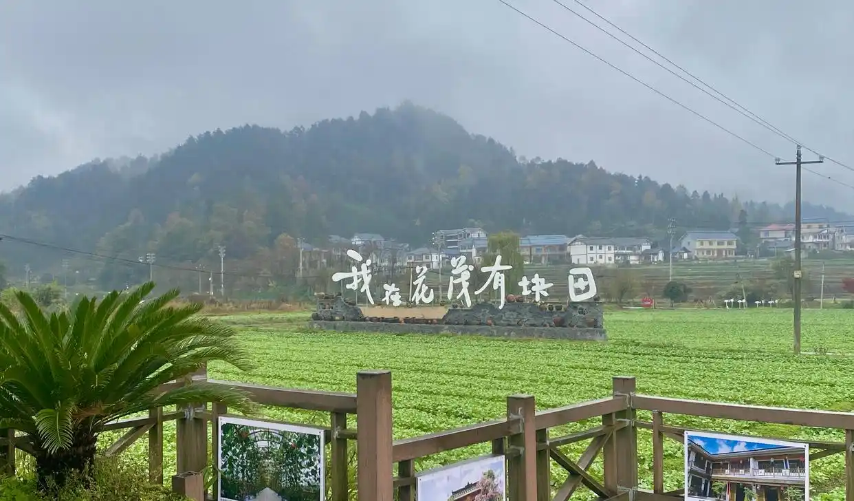 全面推进乡村振兴上_全面推进乡村振兴坚持吧_扎实推进乡村全面振兴